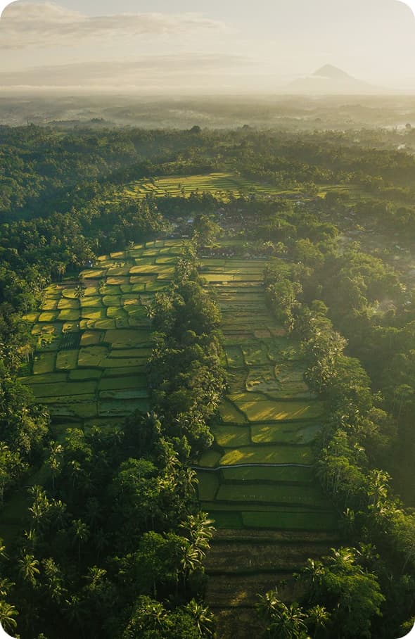 Lanskap perkebunan